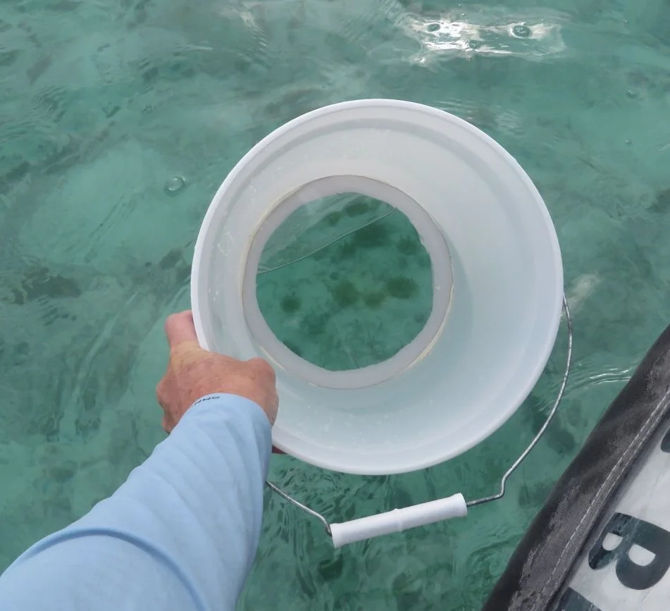 Look-bucket.jpg