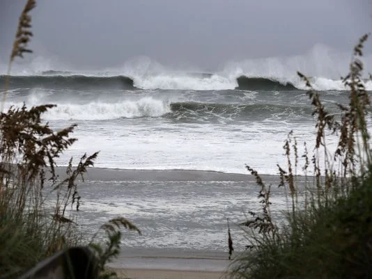Florencecomesashore.jpg
