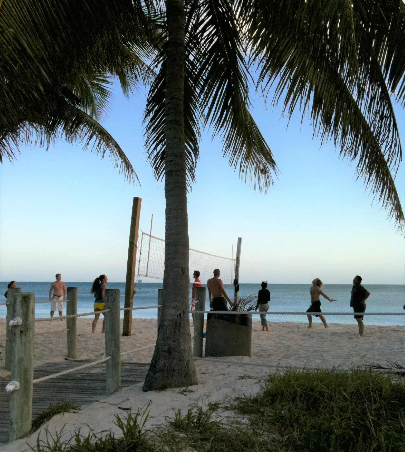 volleyball in Miami.jpg