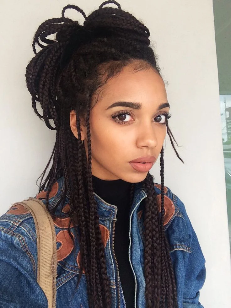 ebf30848a8250f166efe6f41ca7794e2--box-braids-hairstyles-protective-hairstyles.jpg