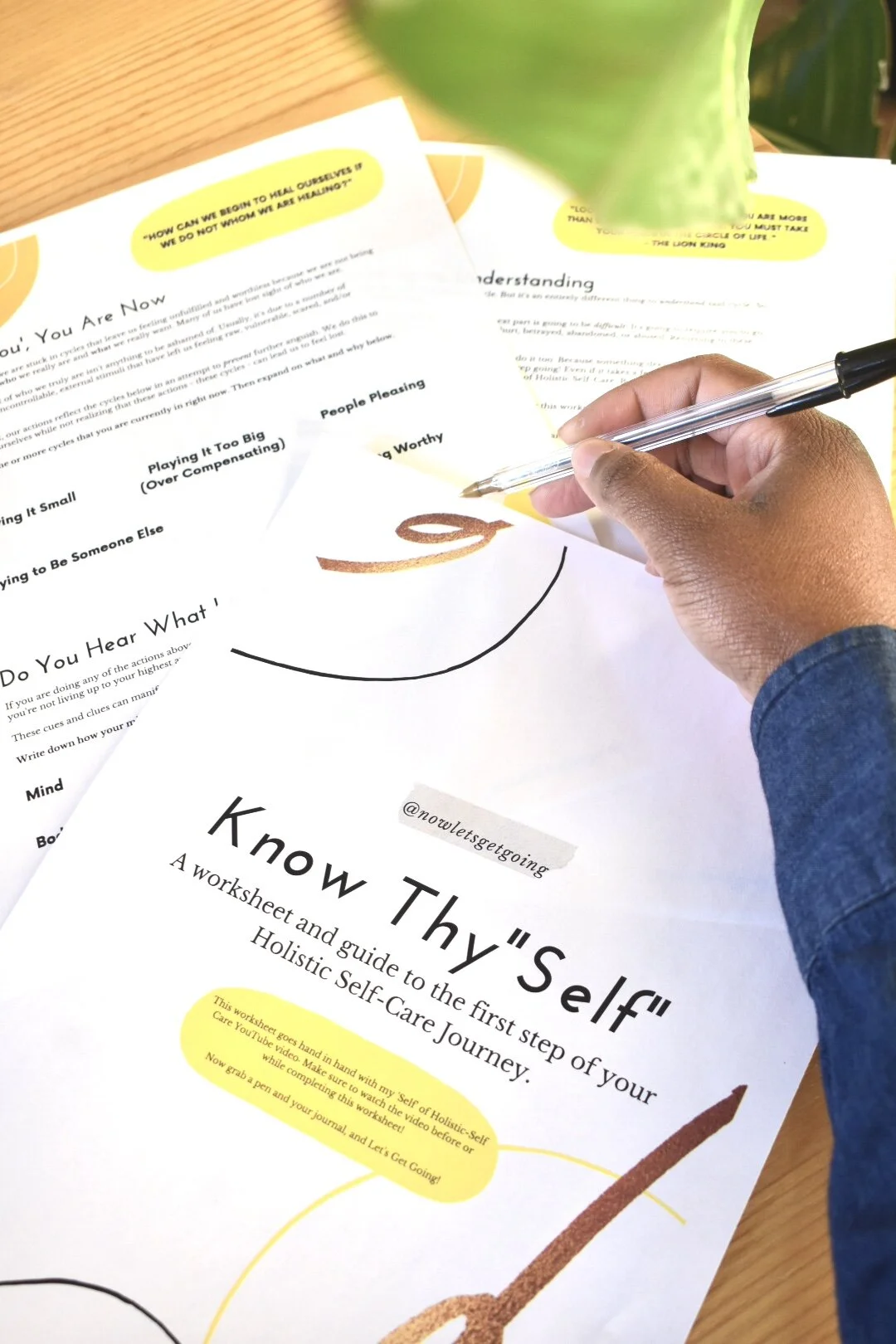 The 'Self' of Holistic Self-Care Discovery Course