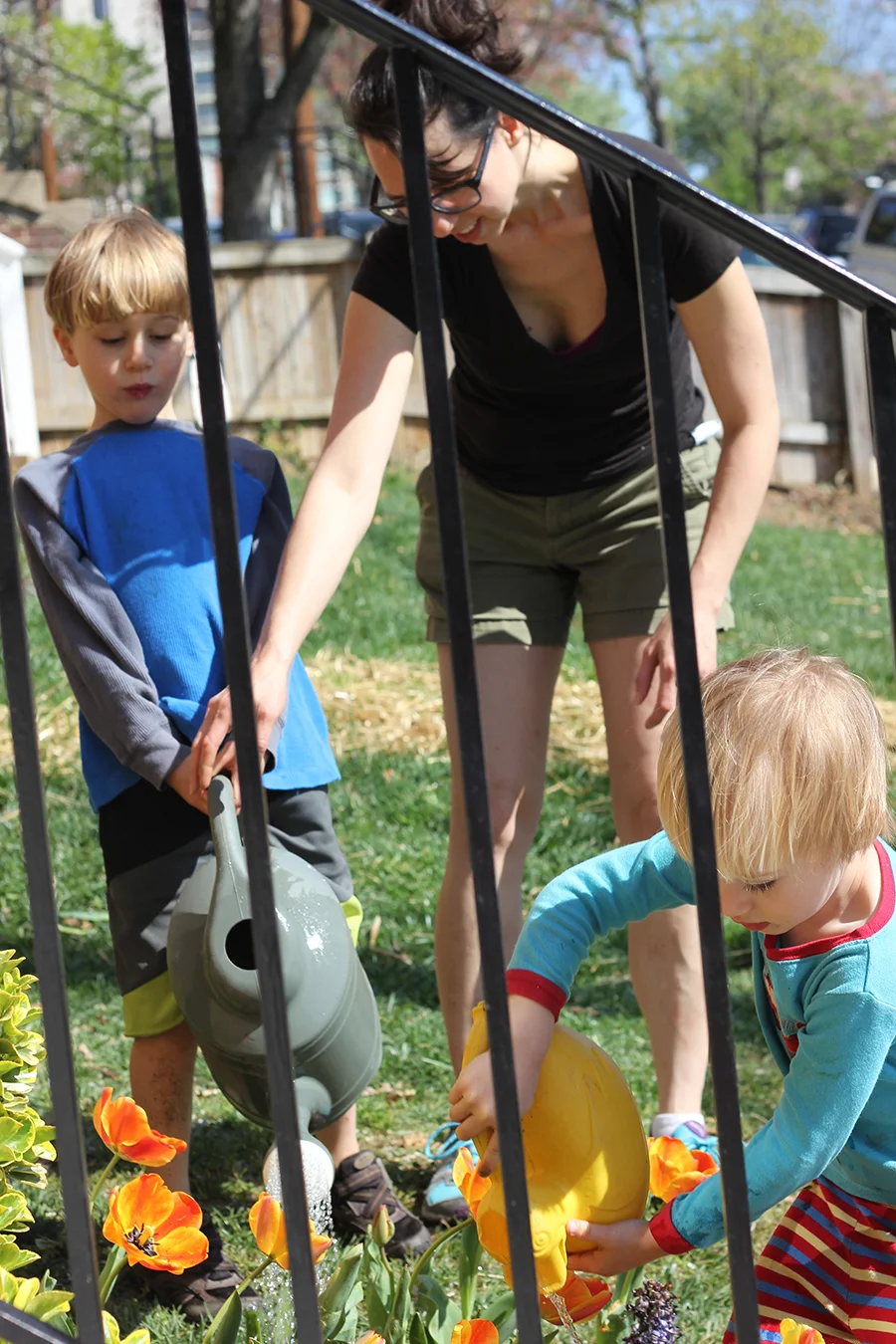 mother and two children age three and six are watering tulips in the garden together, a Montessori practical life work