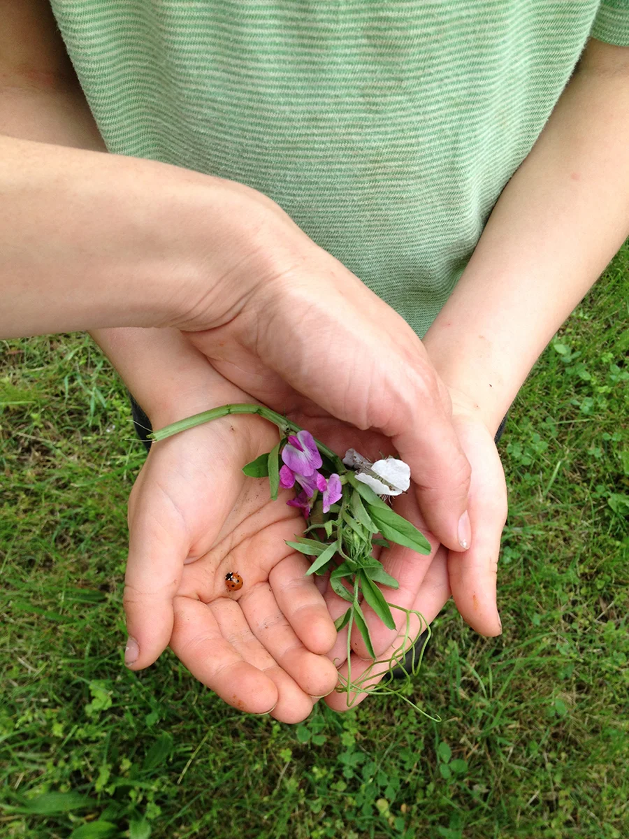 Here, Mommy! Mother's Day flowers and a Mother's Day ladybug for you!