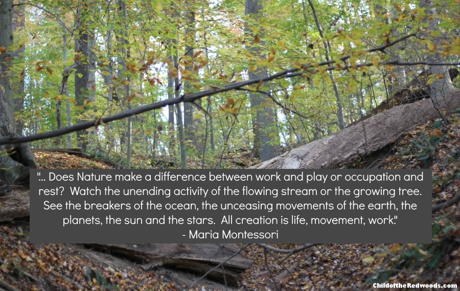 Do children "work"...or "play" in Montessori?