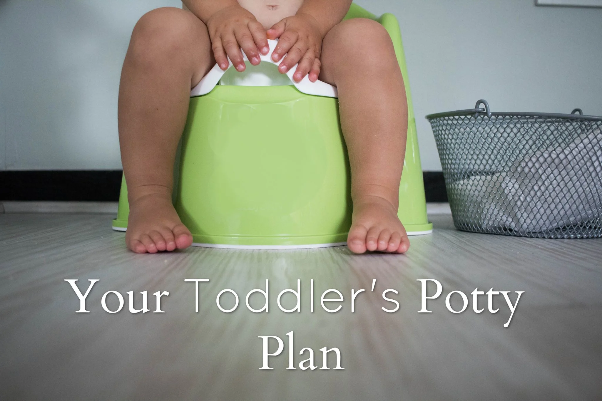 yourtoddlerspottyplanmain.jpg