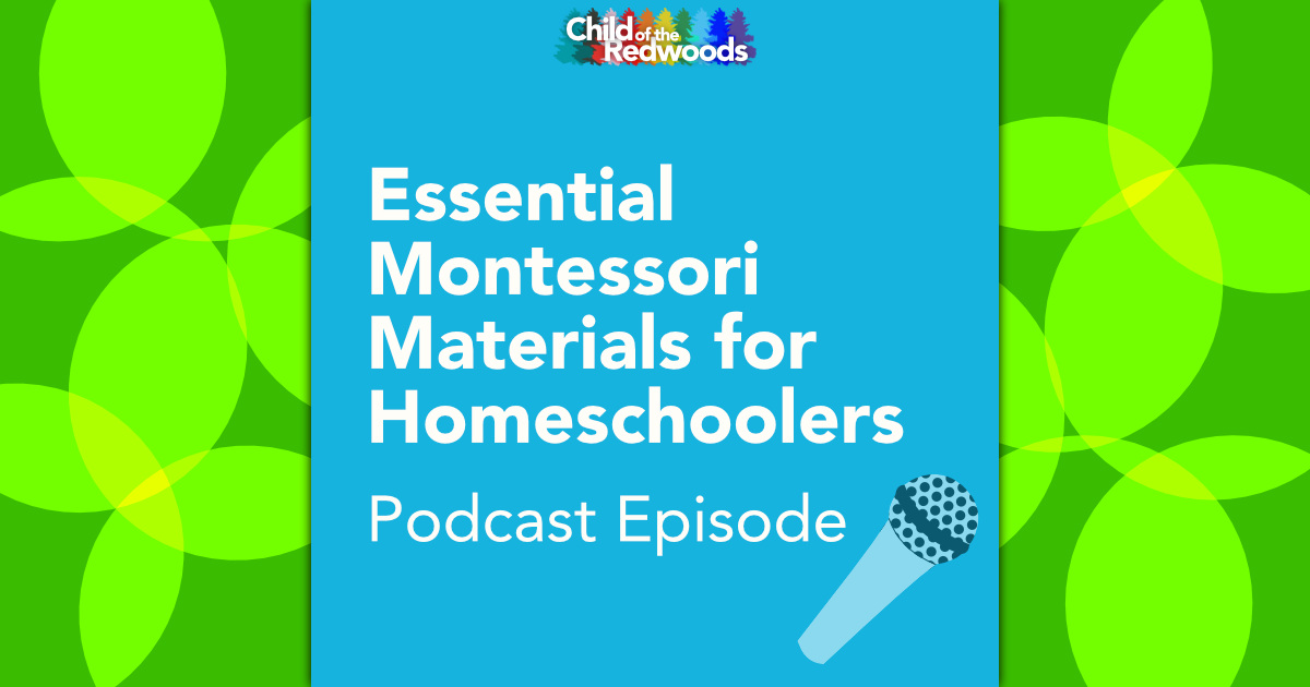 Essential Montessori Materials For Homeschoolers (That Aren’t Printables!)