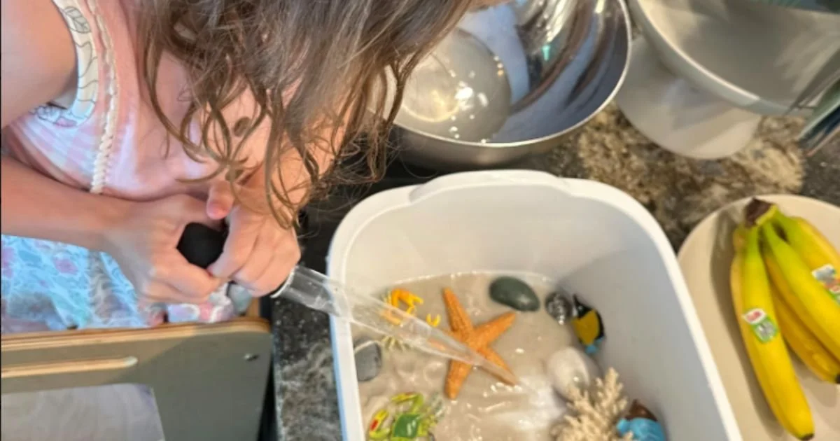 Montessori Homeschool for Beginners: Step-by-Step