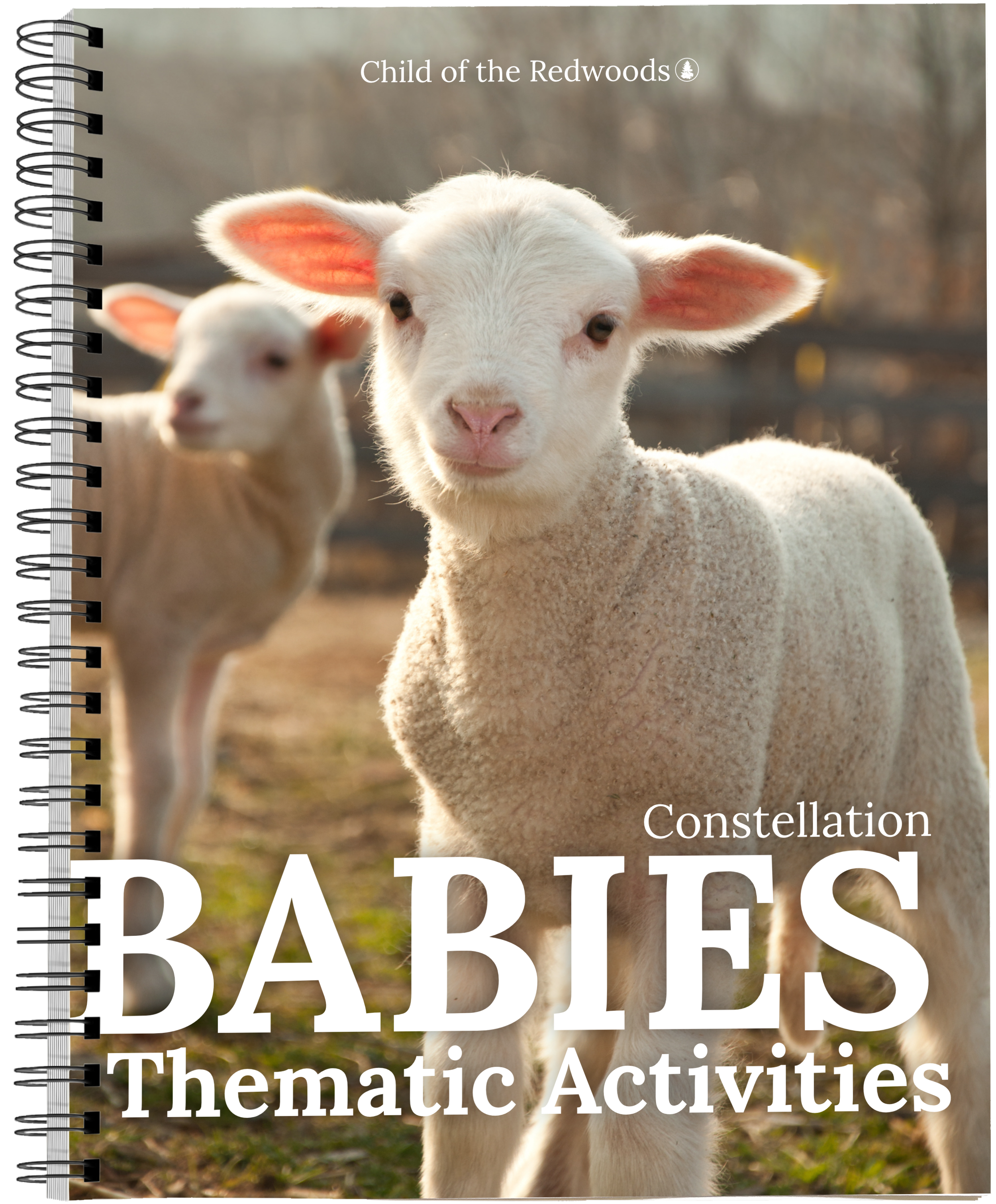 Book Mock - Themes - Front - Covers - Babies.png