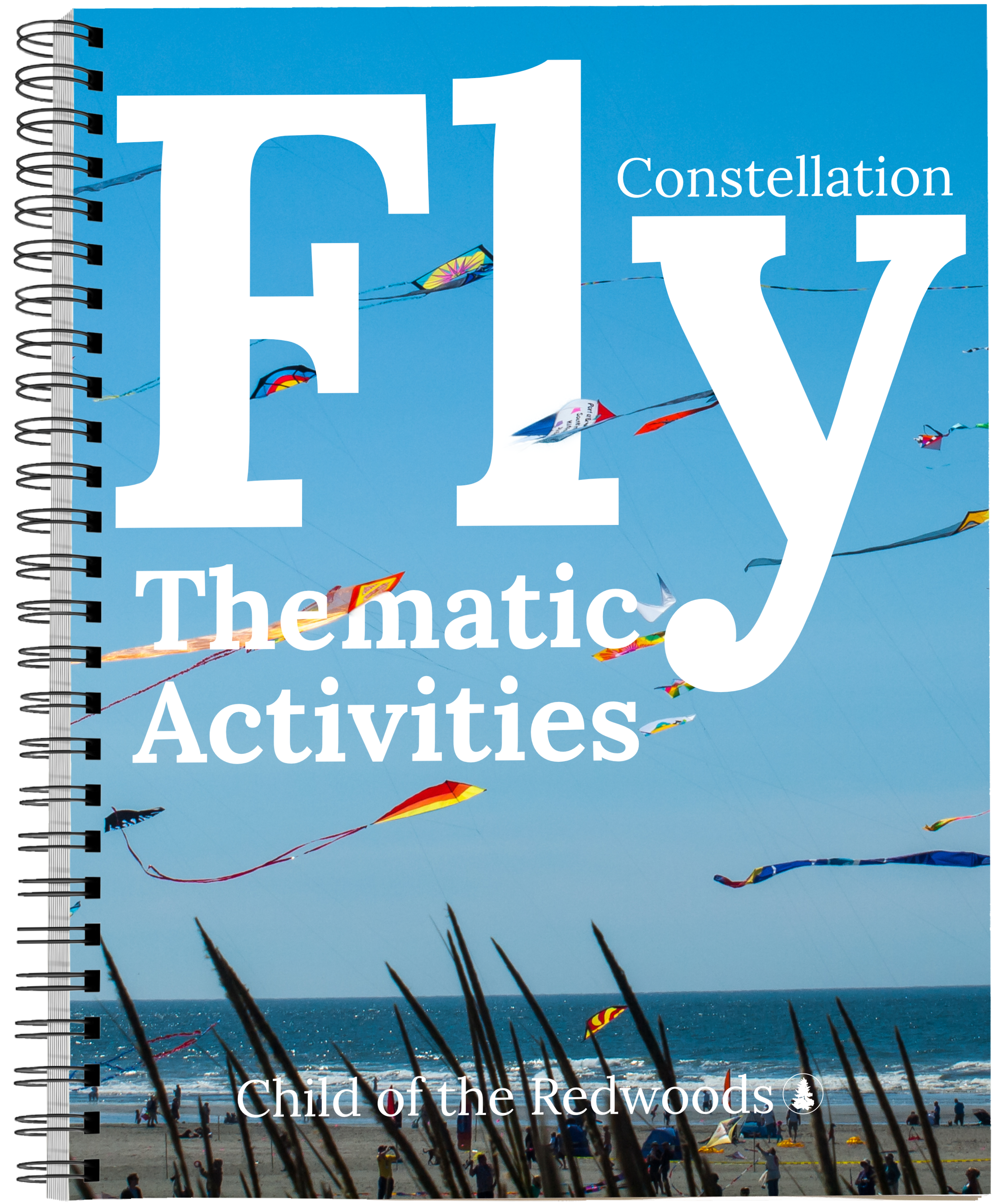 Book Mock - Themes - Front - Covers - Fly.png