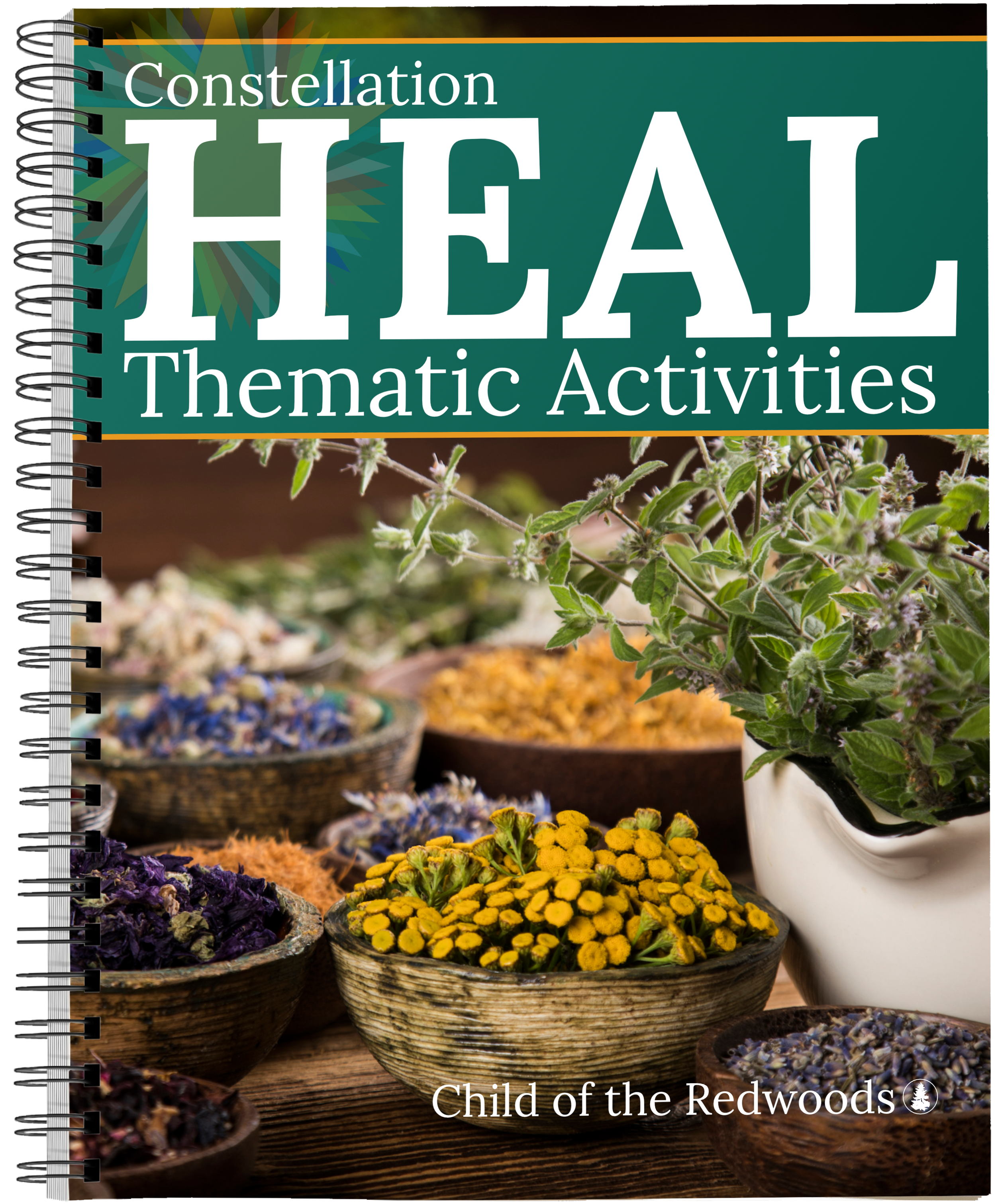 Book Mock - Themes - Front - Covers - Heal.png