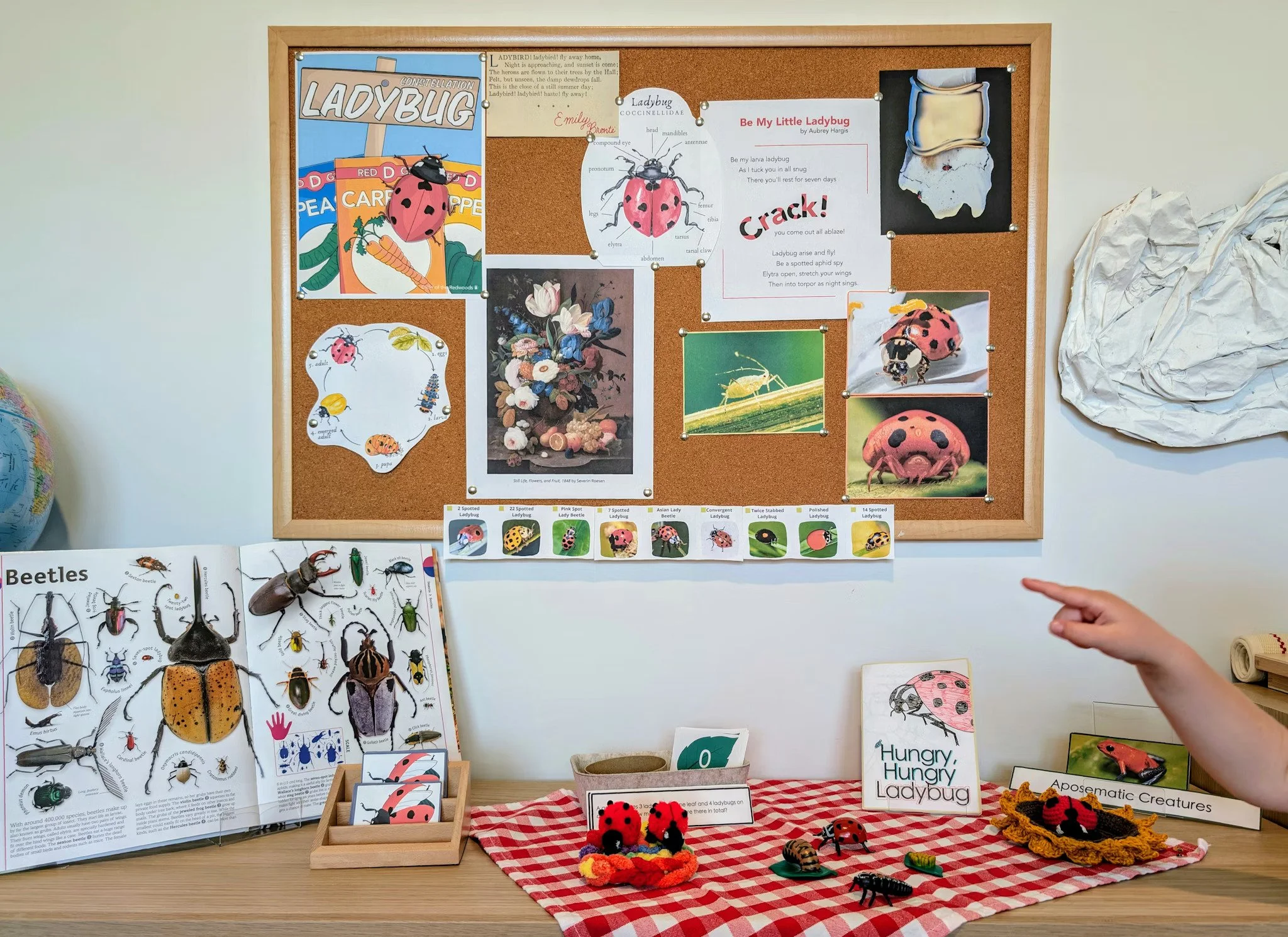 ladybug theme display on a bulletin board from a montessori homeschooling family