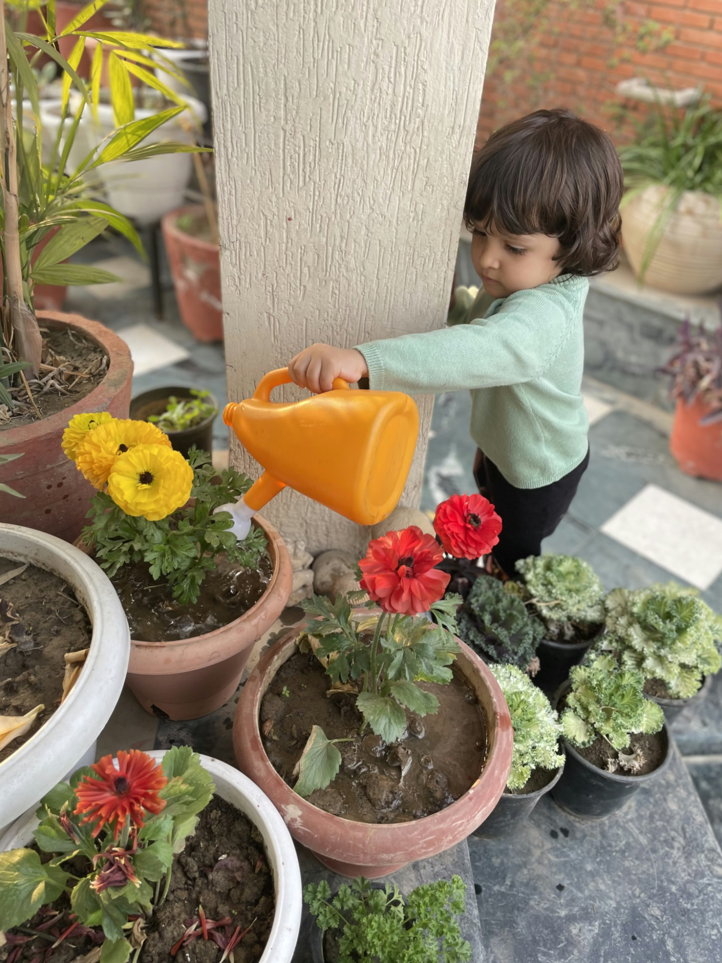 Three year old child doing Montessori at home by watering plants in a garden.