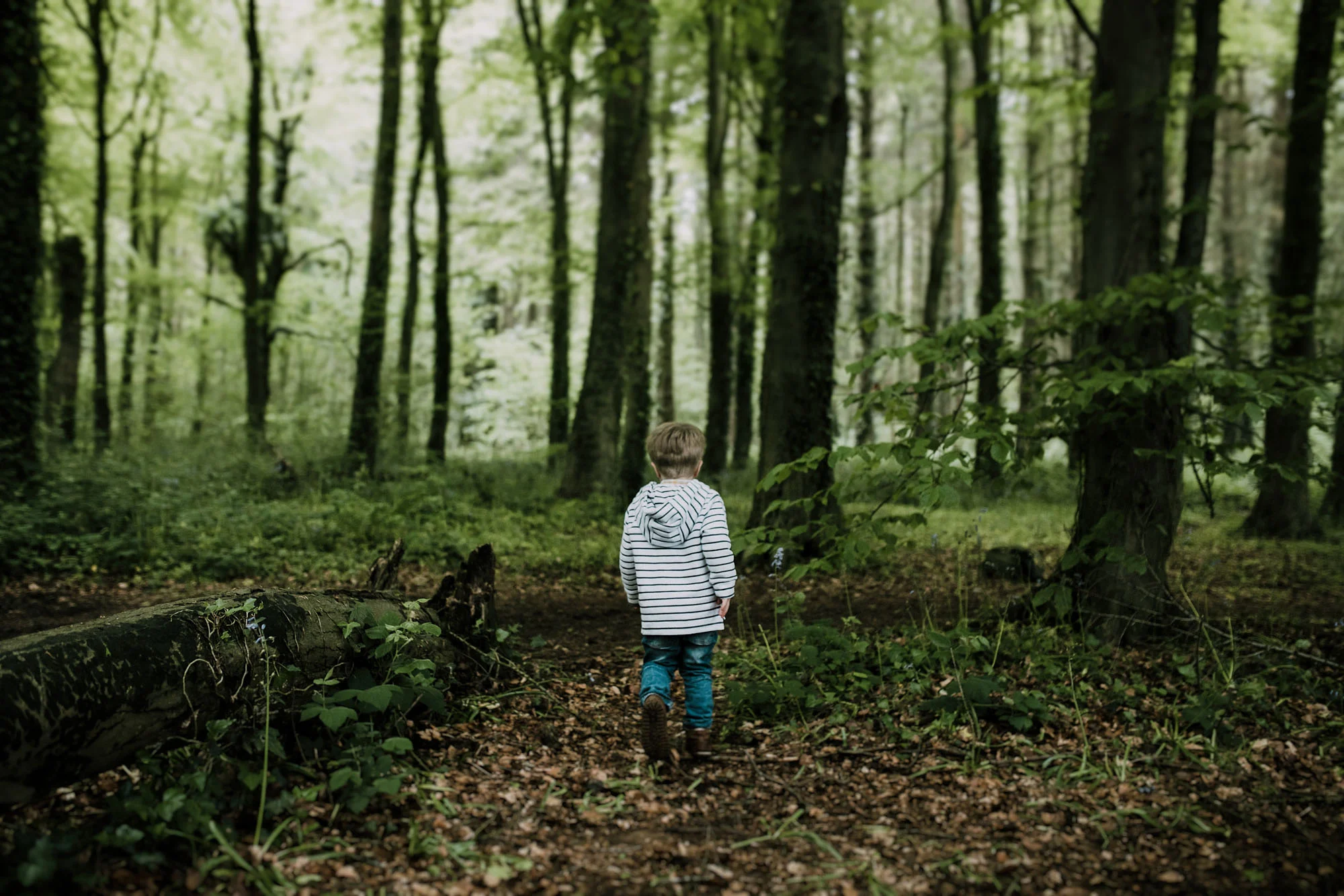 bluebell woods-7.jpg