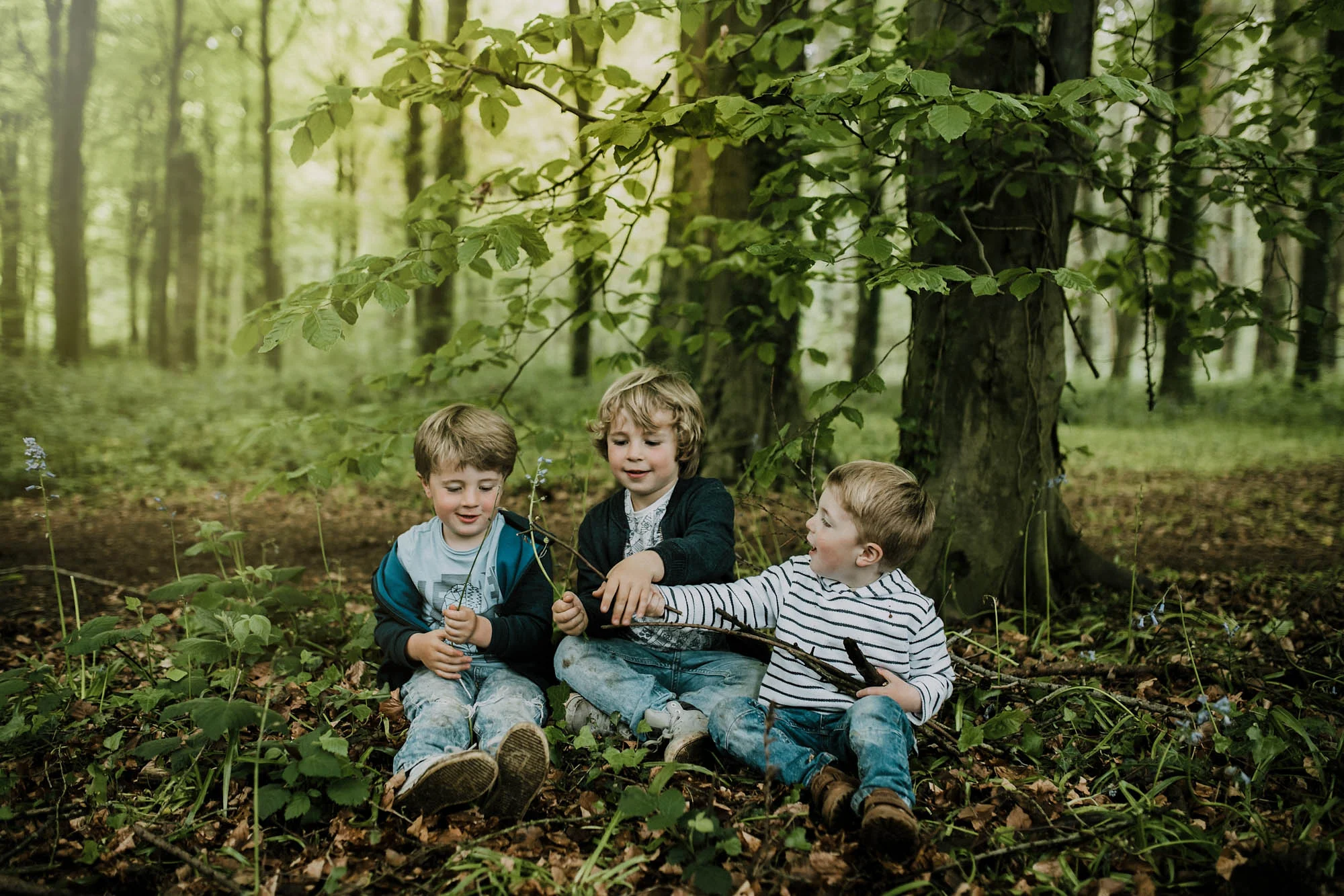 bluebell woods-18.jpg
