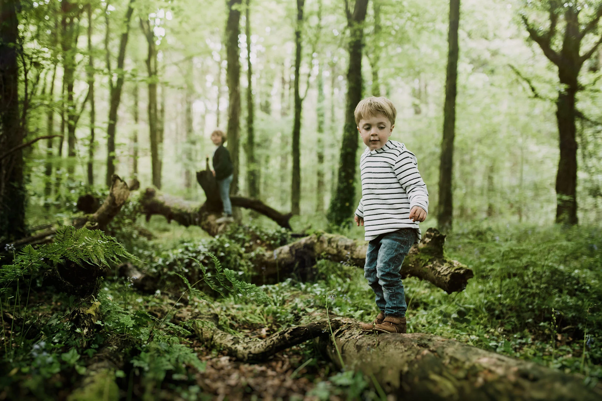 bluebell woods-42.jpg
