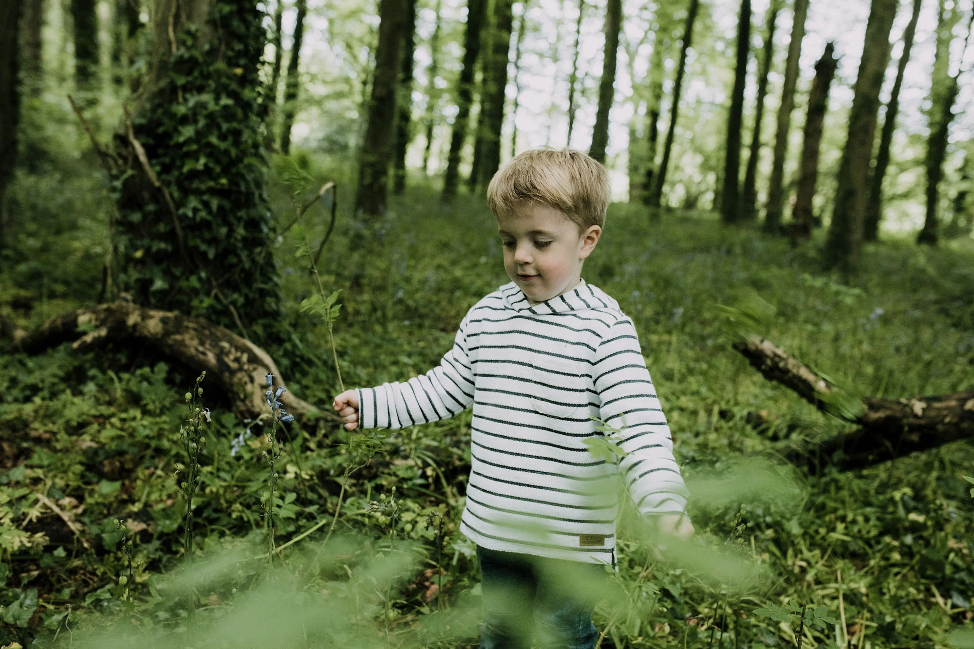 bluebell woods-66.jpg