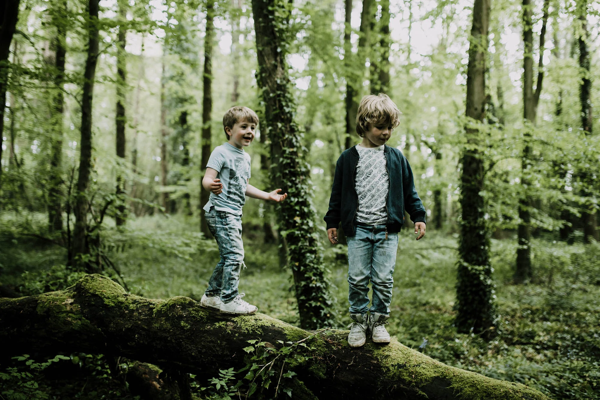 bluebell woods-71.jpg