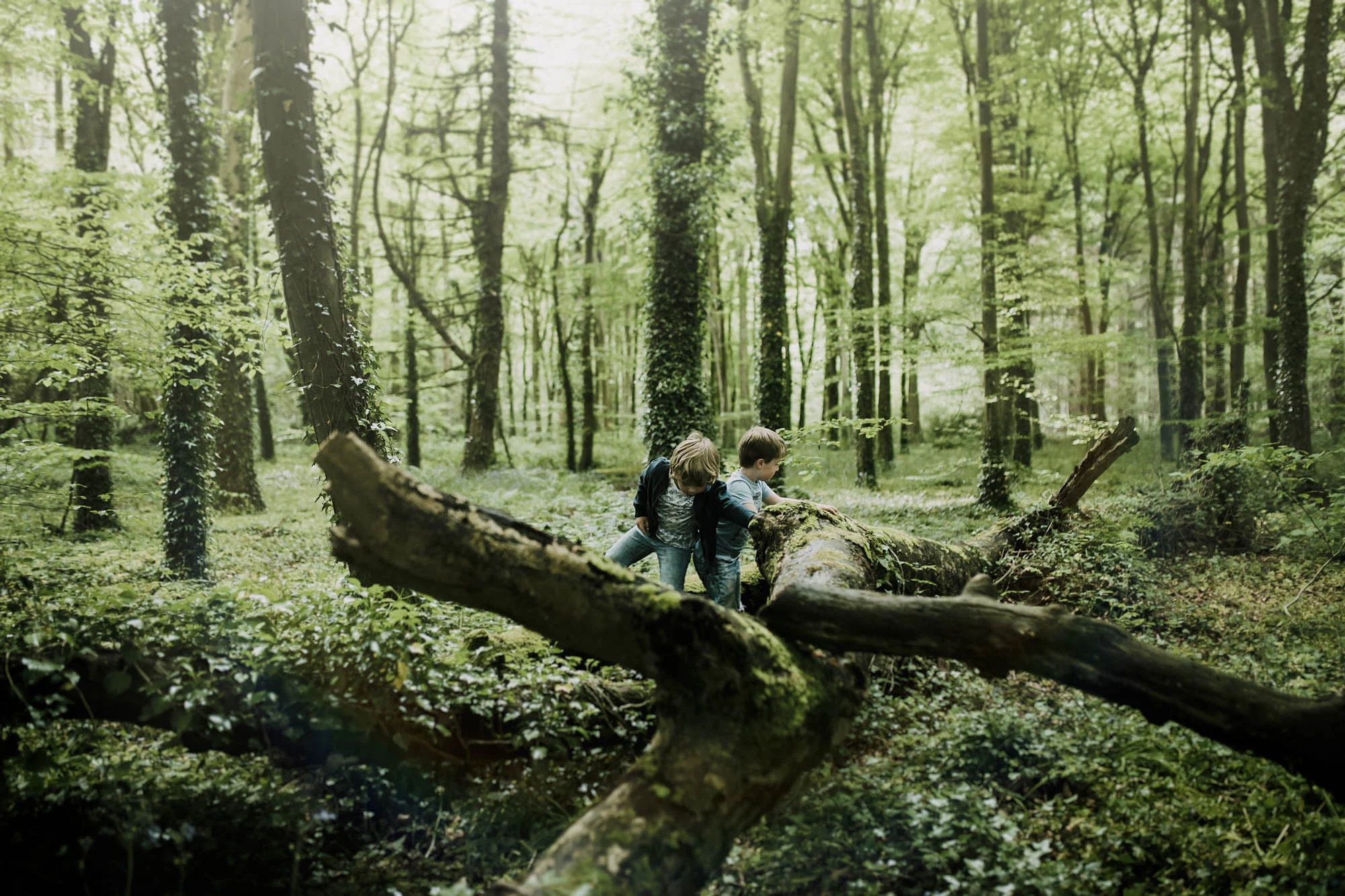 bluebell woods-75.jpg