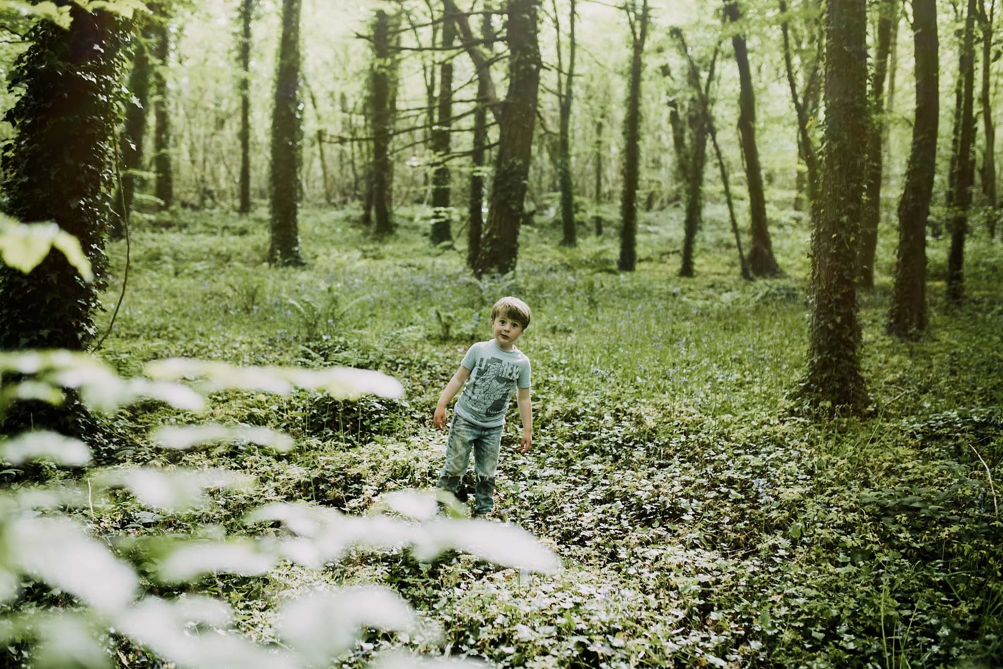 bluebell woods-93.jpg