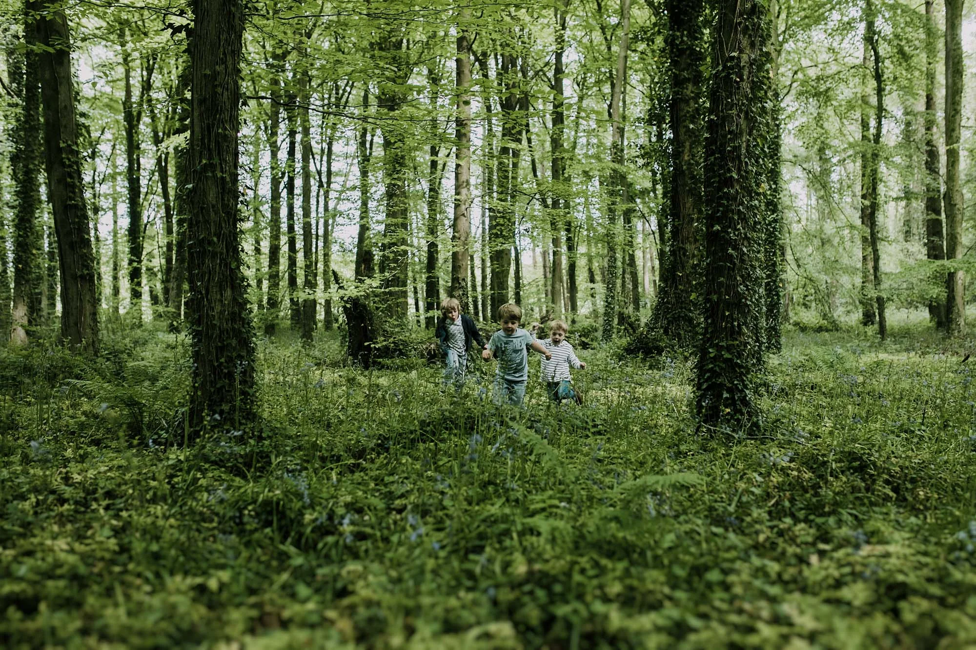 bluebell woods-105.jpg