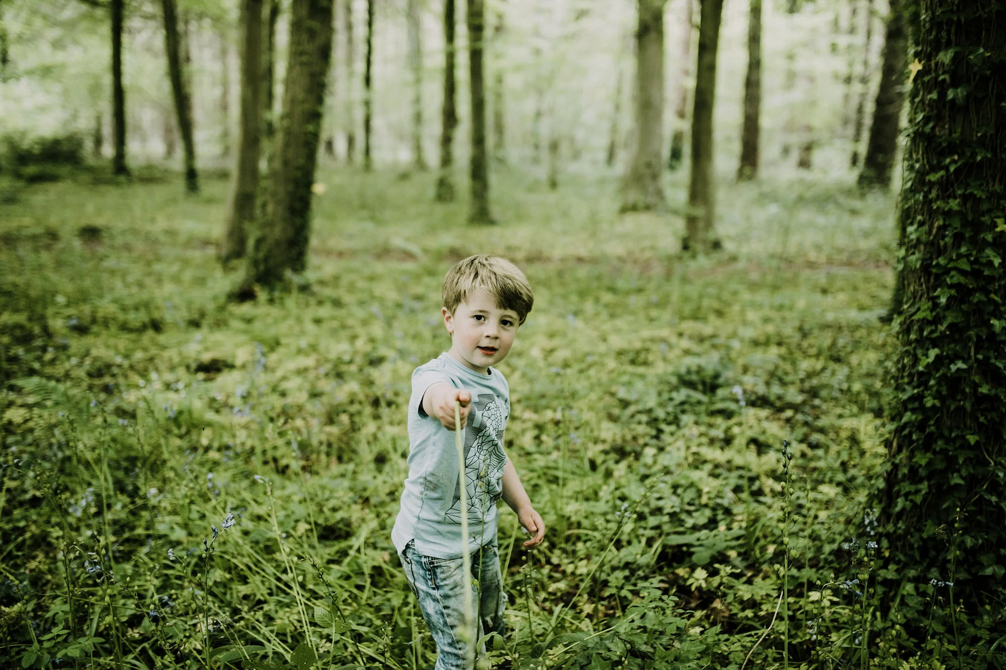 bluebell woods-111.jpg
