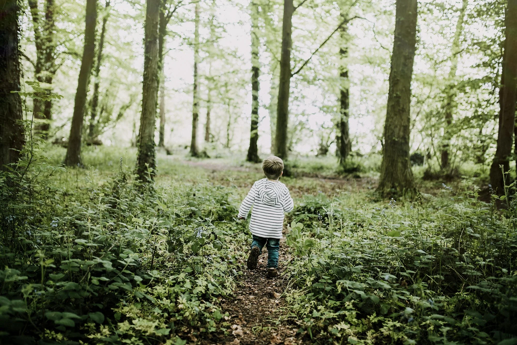 bluebell woods-141.jpg