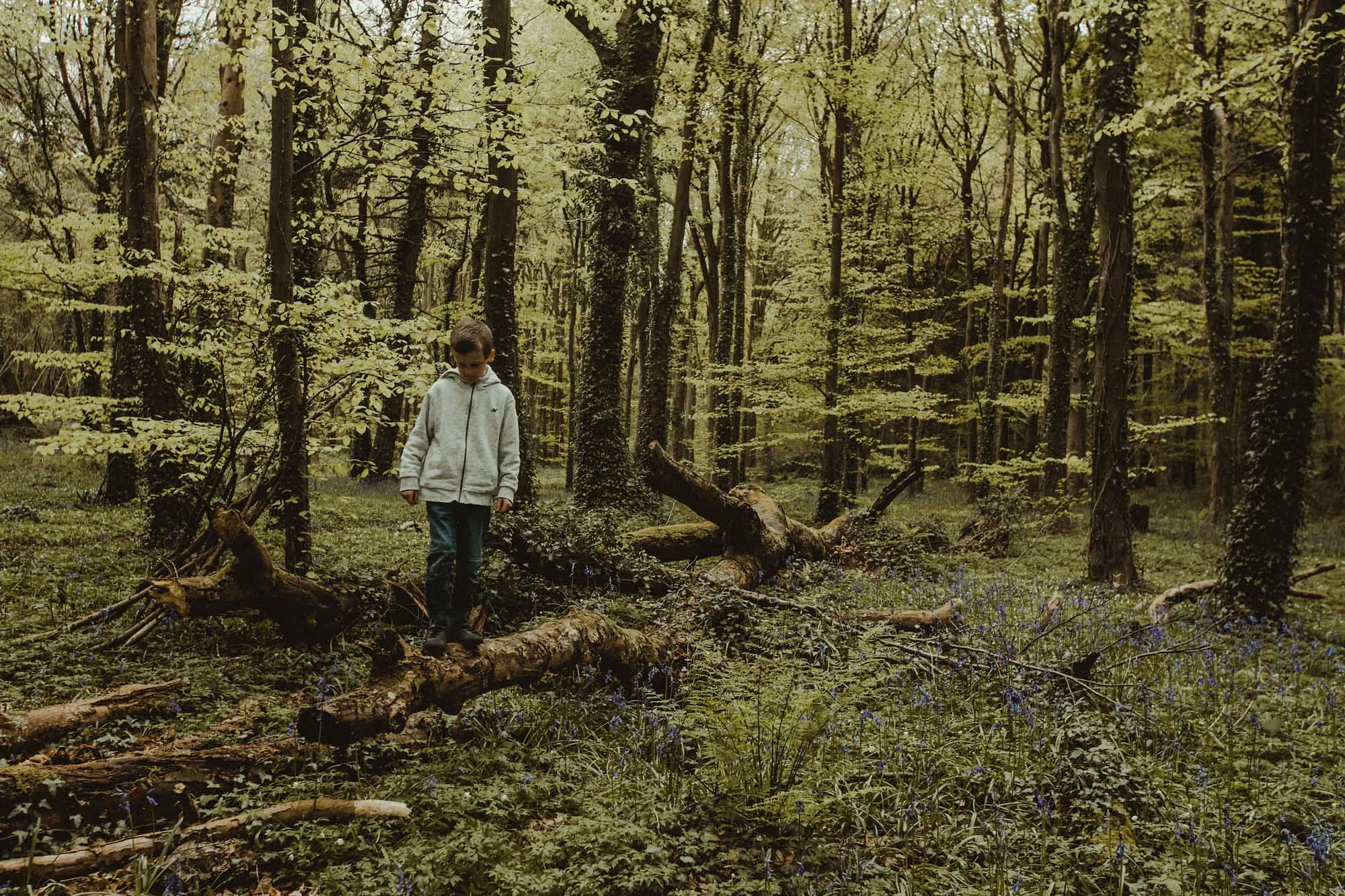 Bluebells_Family_Portrait-2.jpg