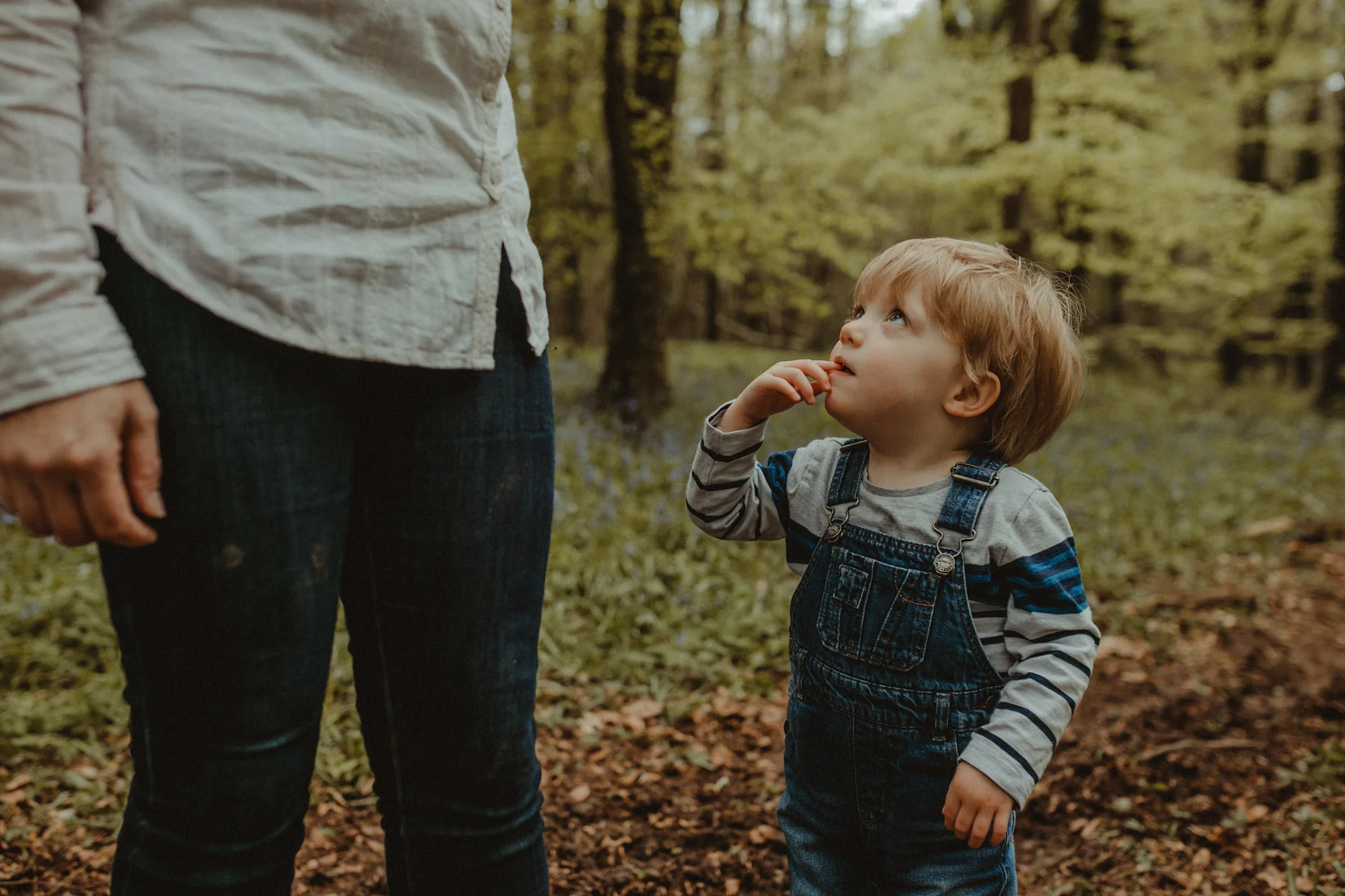 Bluebells_Family_Portrait-118.jpg