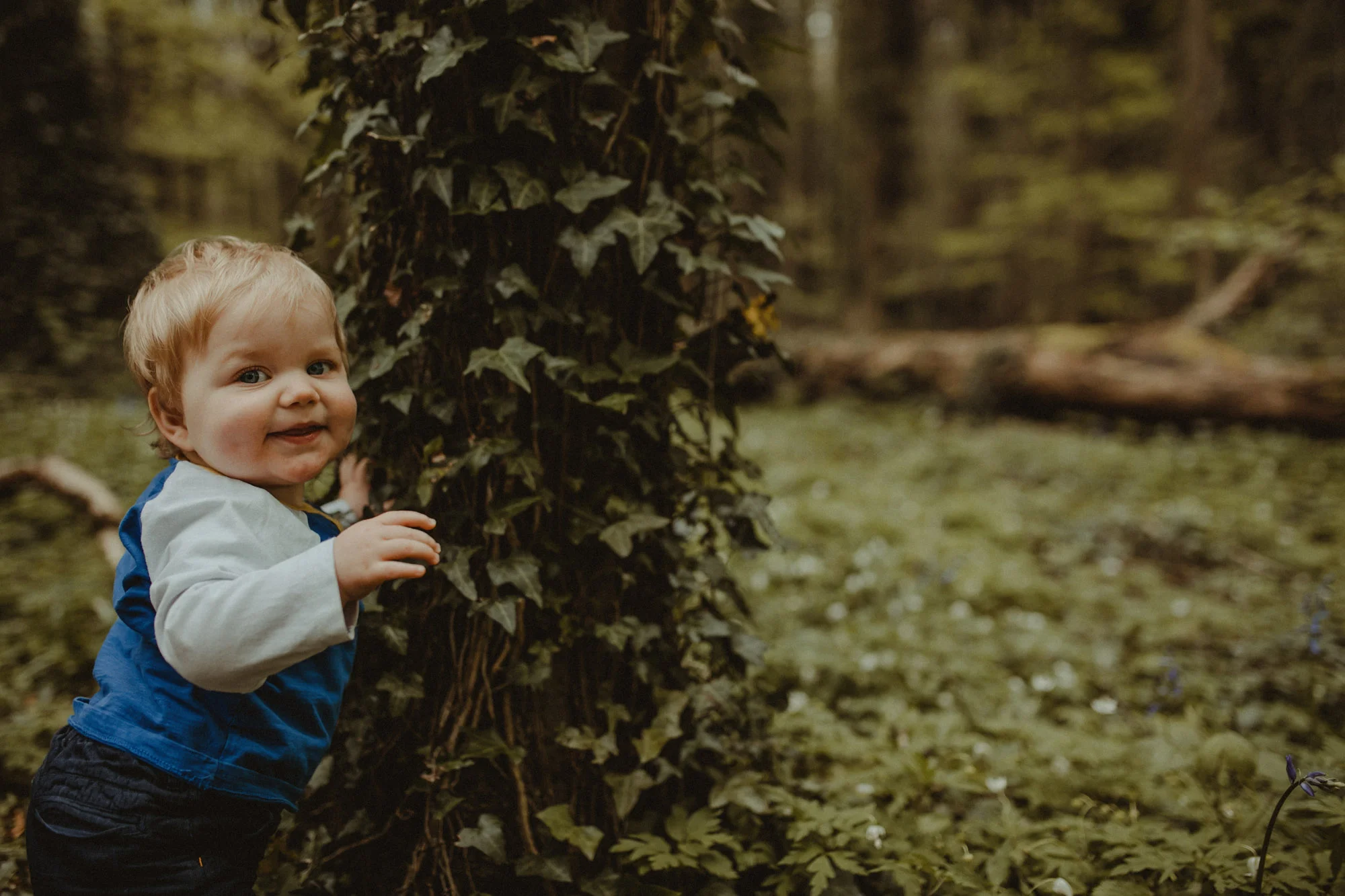 Bluebells_Family_Portrait-151.jpg