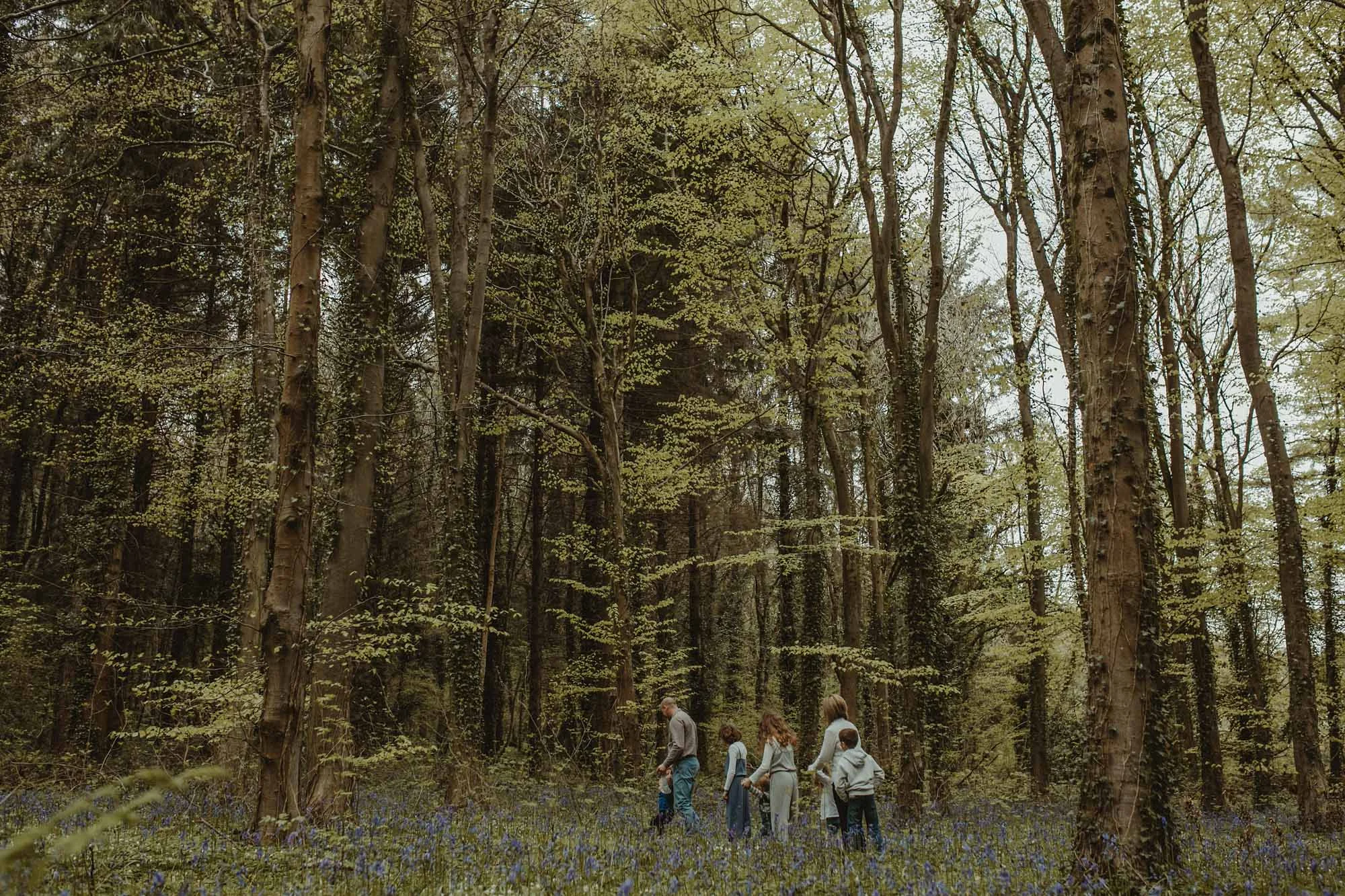 Bluebells_Family_Portrait-173.jpg
