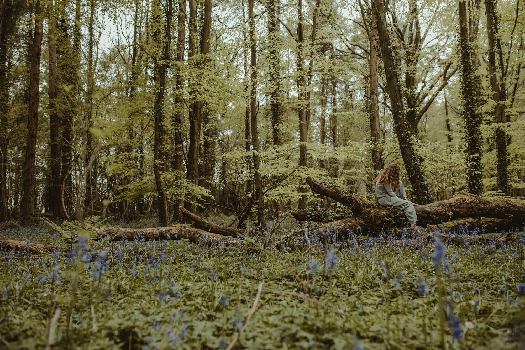 Bluebells_Family_Portrait-183.jpg