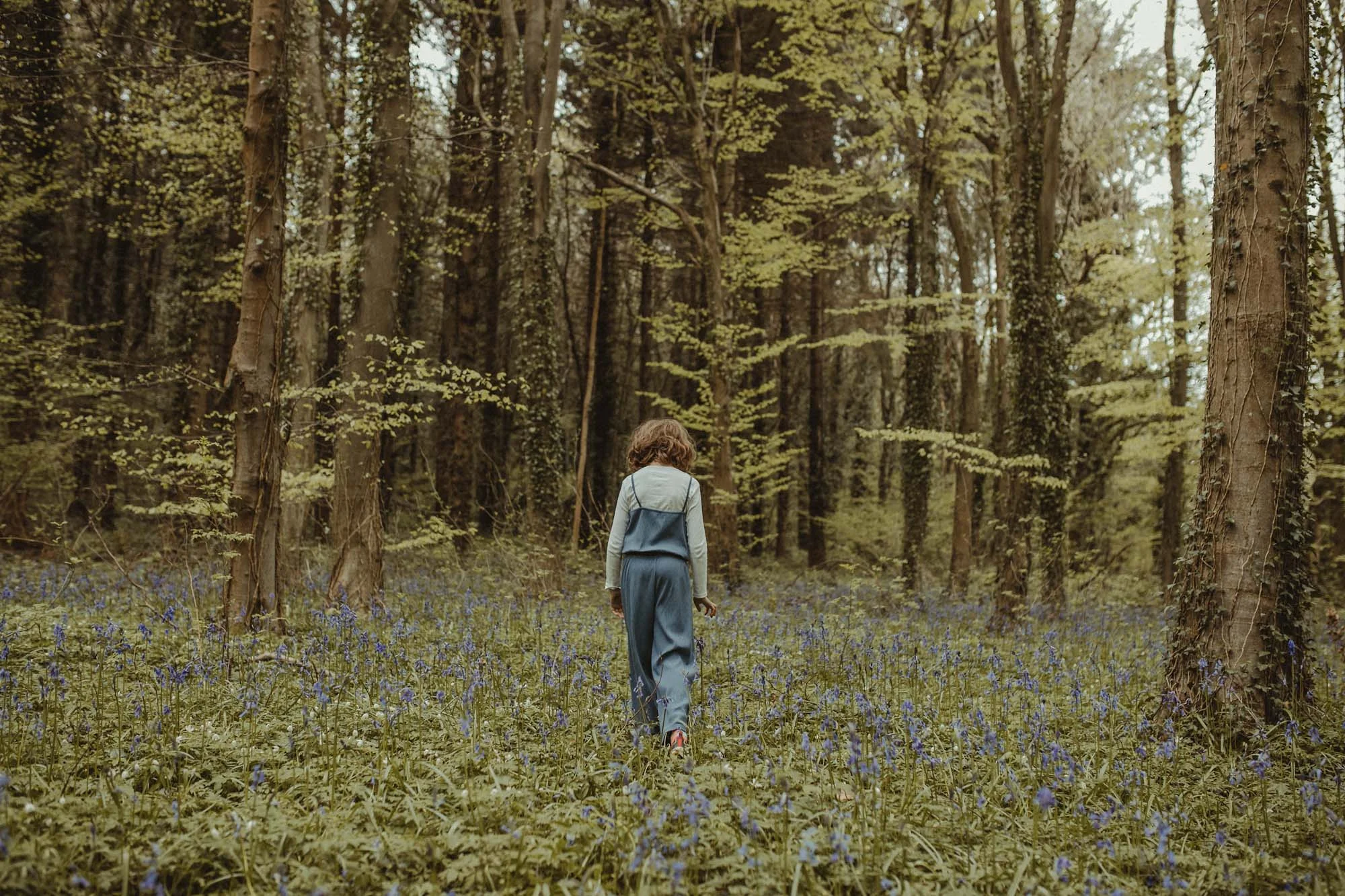 Bluebells_Family_Portrait-227.jpg