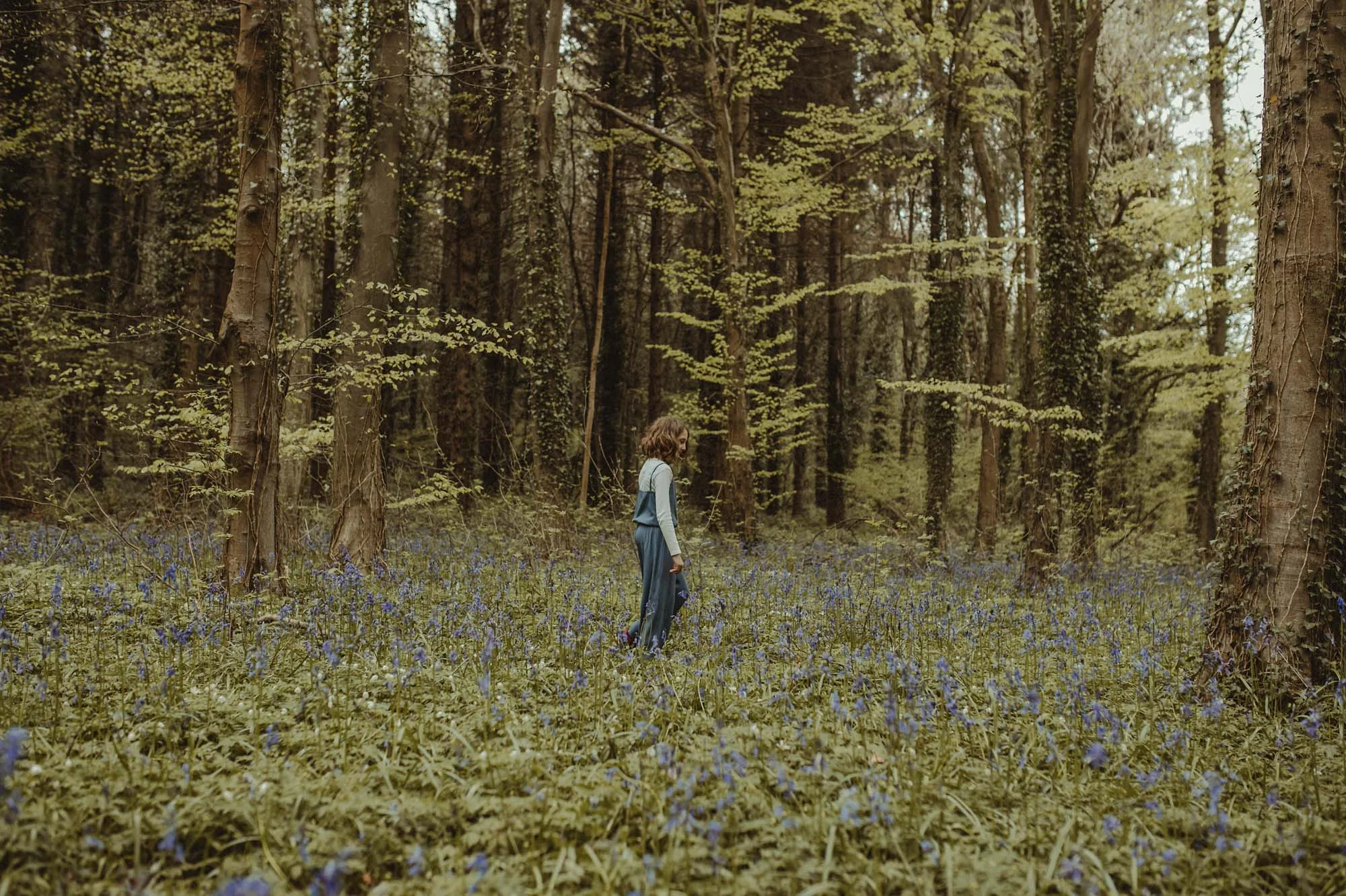 Bluebells_Family_Portrait-228.jpg