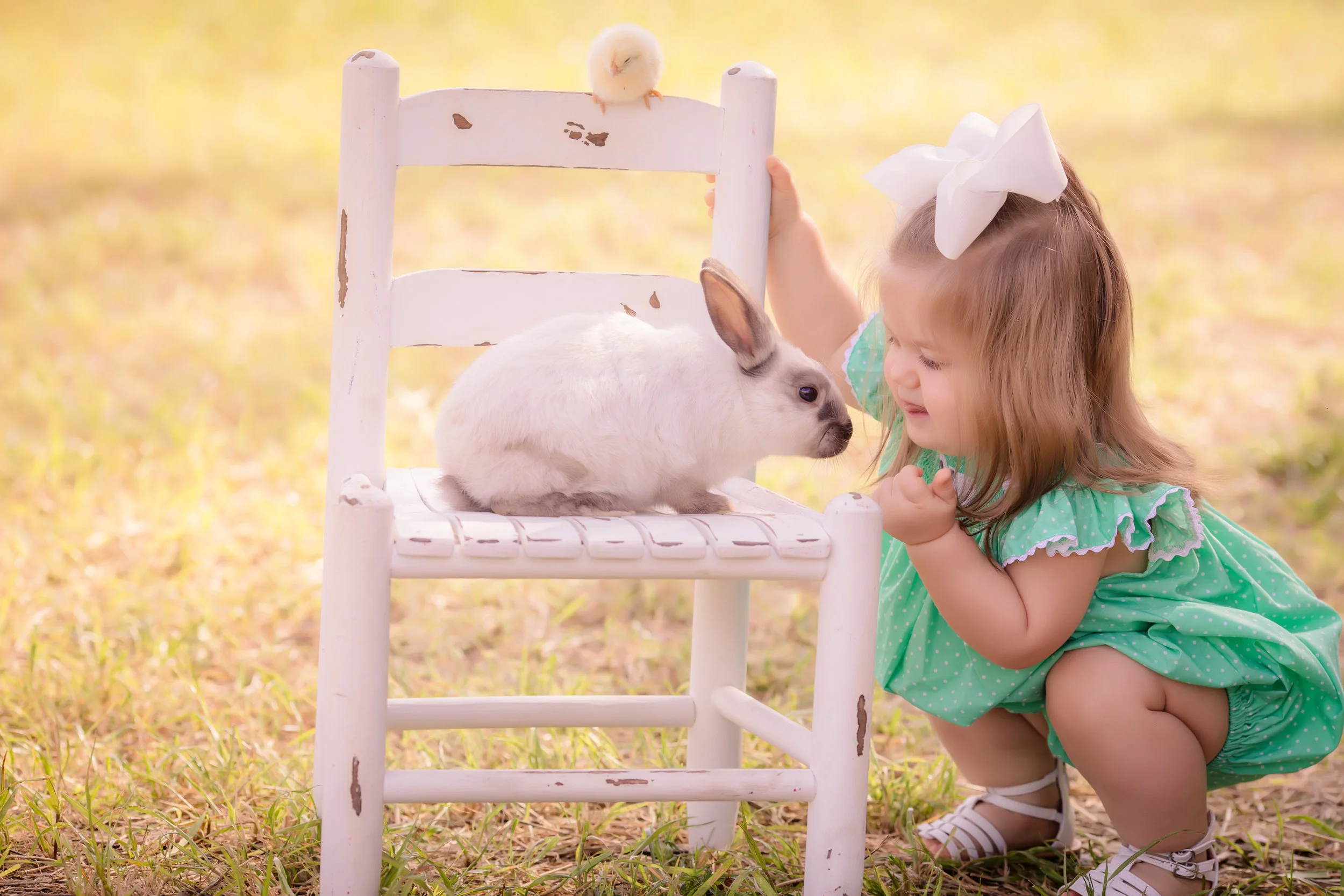 IMG_0944-Edit.jpg