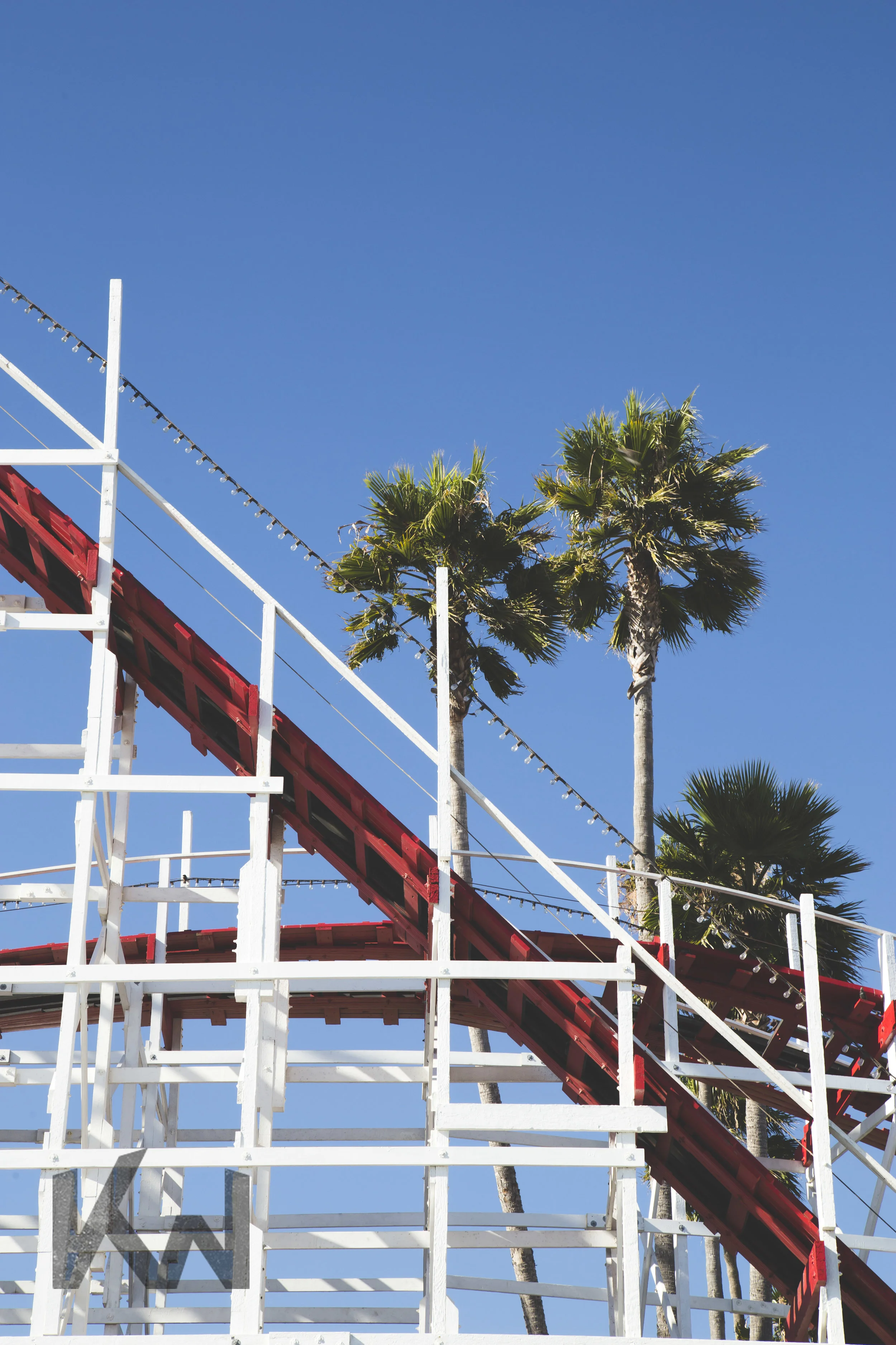 santacruz coaster.jpg