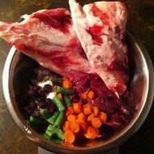 A balanced Diet with Raw is Important.