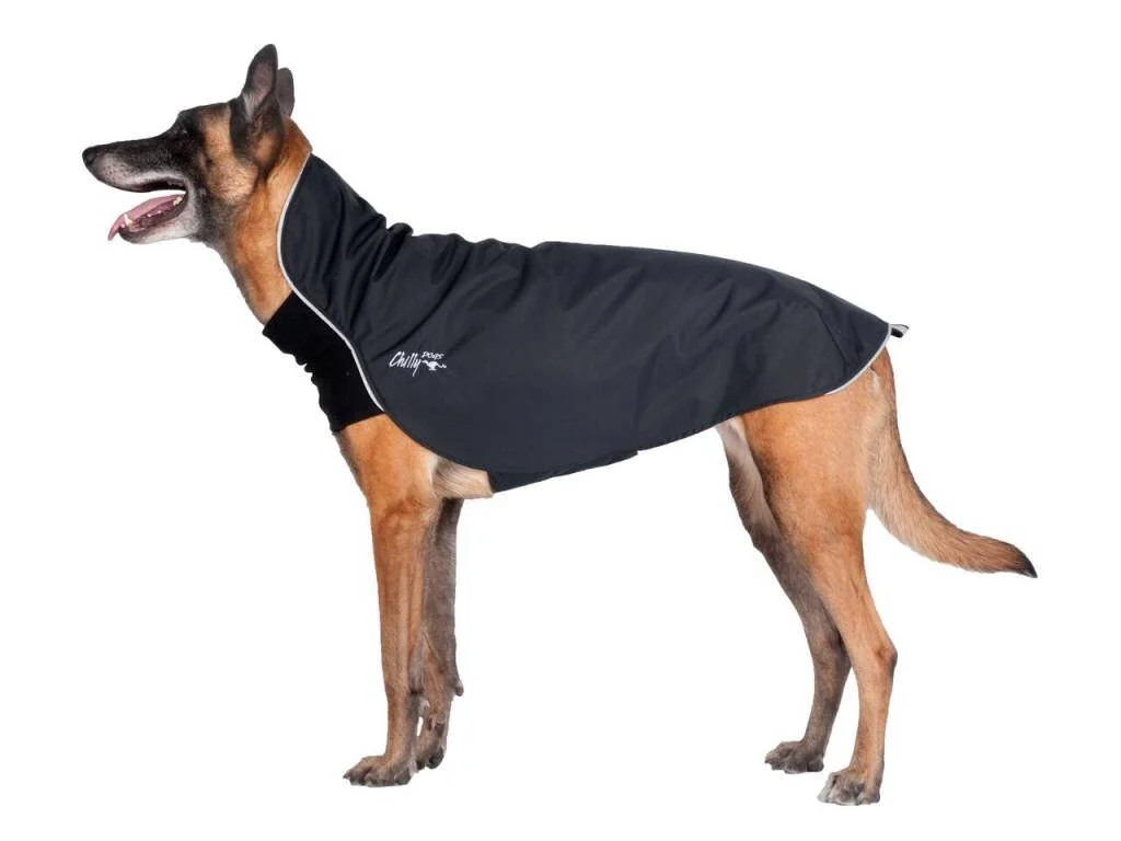 chilly dogs rain slicker