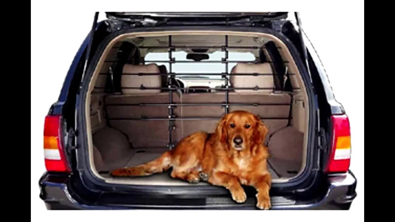 vehicle pet gate