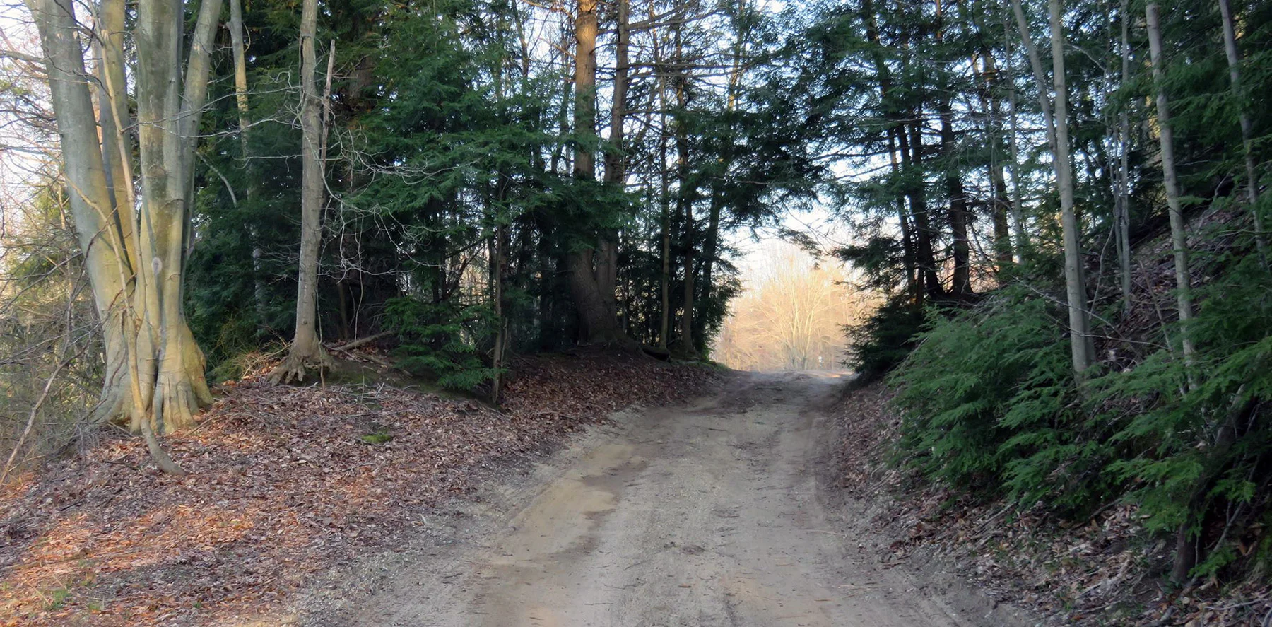 Driveway.jpg