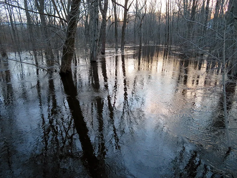 blackriver.jpg