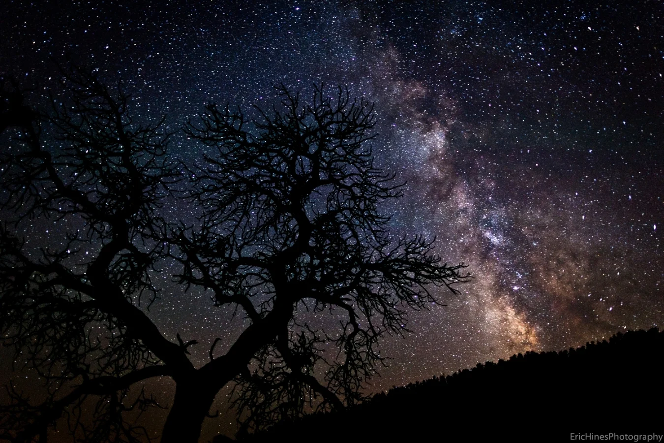 NIGHTYSKY.jpg