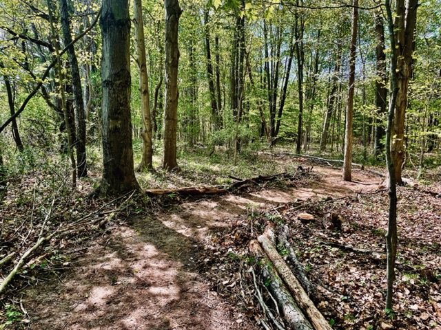 On Finding Your Way Both To And Around The Higher Haven 