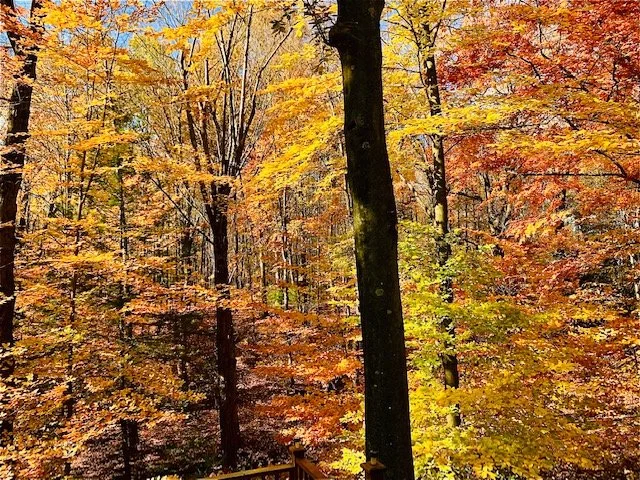 October 21st-23rd Fall Comprehensive Spiritual Development Retreat with Master Teacher John Ashbrook