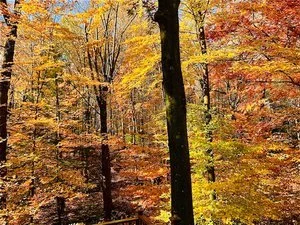 Fall 2023 Noble Silence Meditation Retreat