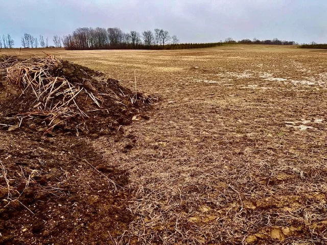 Our Special, Pre-Black Friday + Happy Holiday Offering 