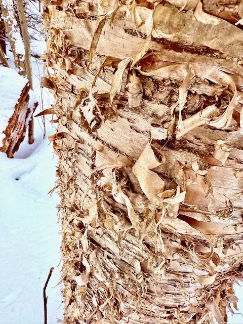 Staying Grounded To Take Flight