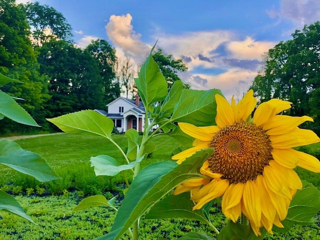 On Our Summer Noble Silence Meditation Retreat (NSMR) Weekend 
