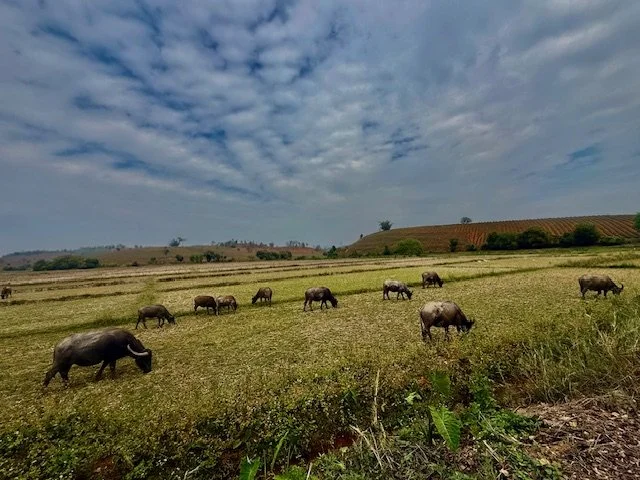 Chào bạn! Greetings from S. Haven, Michigan USA 