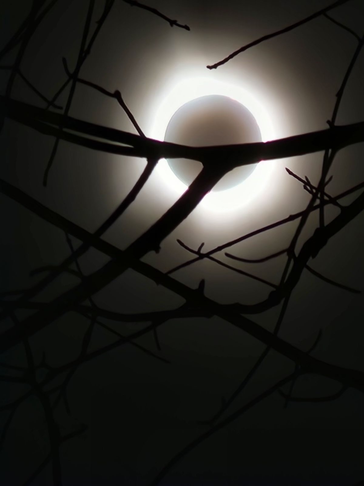 Partial Solar Eclipse + Perseid Meteor Show Summer Dark Sky Event
