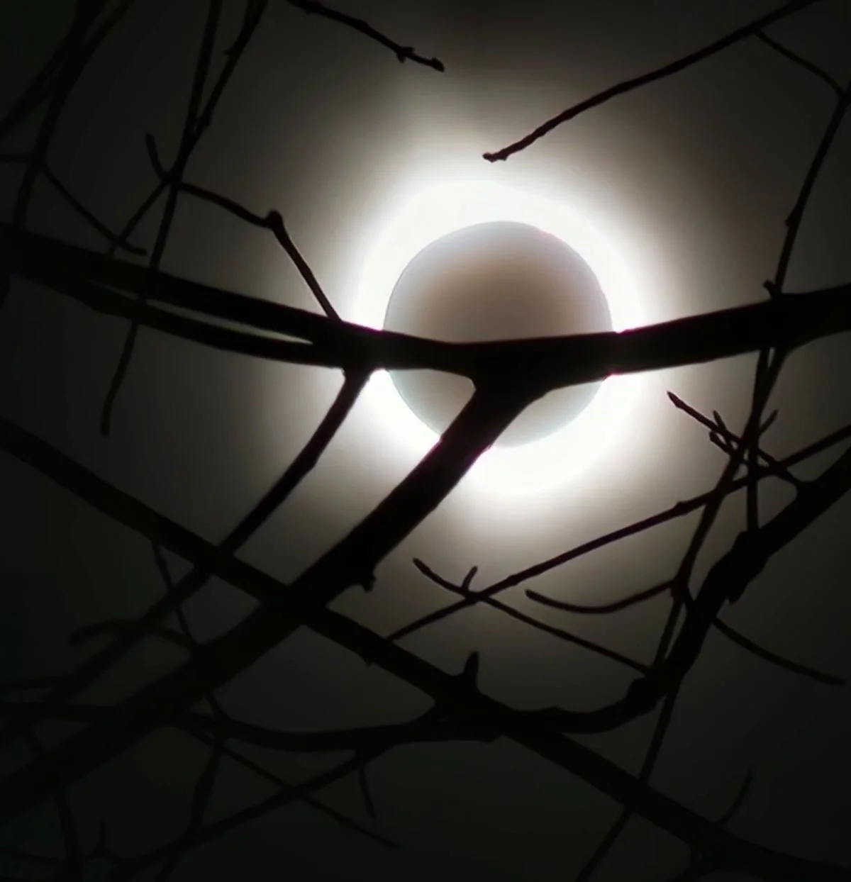 MARCH 14th DARK SKY EVENT – MINDFULNESS + MEDITATION + AN EVENING OBSERVING THE PARTIAL LUNAR ECLIPSE